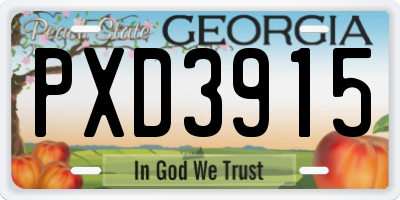 GA license plate PXD3915