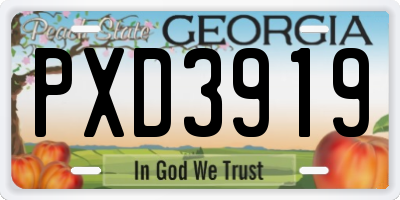 GA license plate PXD3919