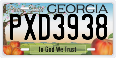 GA license plate PXD3938