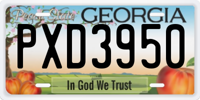 GA license plate PXD3950