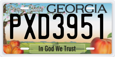 GA license plate PXD3951