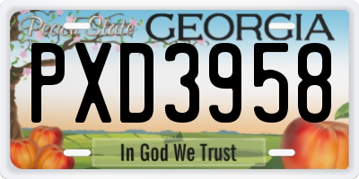 GA license plate PXD3958