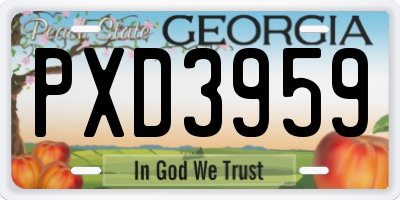 GA license plate PXD3959