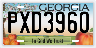 GA license plate PXD3960