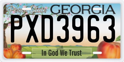 GA license plate PXD3963