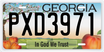 GA license plate PXD3971