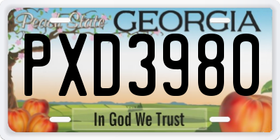 GA license plate PXD3980