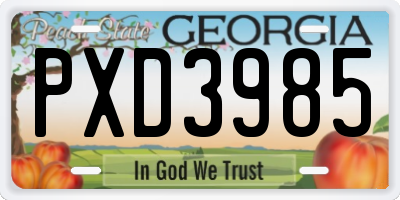 GA license plate PXD3985