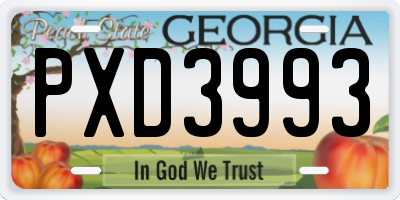 GA license plate PXD3993