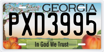 GA license plate PXD3995