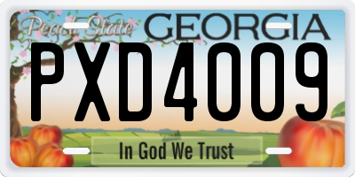 GA license plate PXD4009