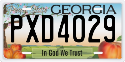 GA license plate PXD4029