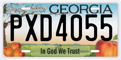 GA license plate PXD4055