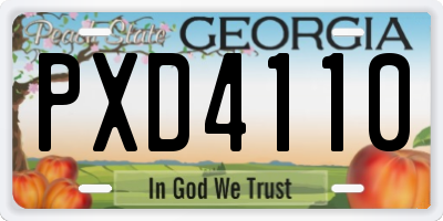 GA license plate PXD4110