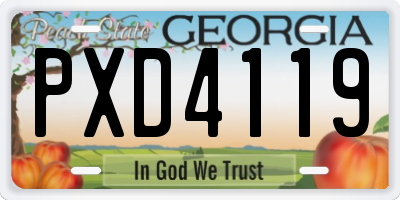 GA license plate PXD4119