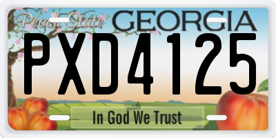 GA license plate PXD4125