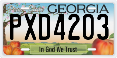 GA license plate PXD4203