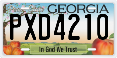 GA license plate PXD4210