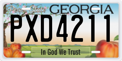 GA license plate PXD4211