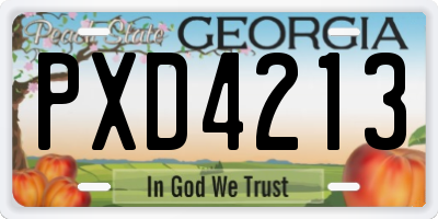 GA license plate PXD4213