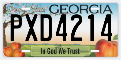 GA license plate PXD4214