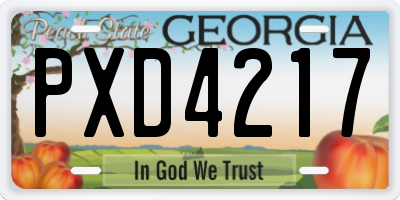 GA license plate PXD4217