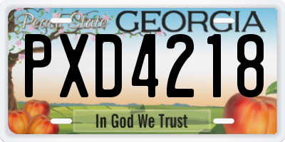 GA license plate PXD4218