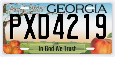 GA license plate PXD4219