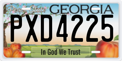 GA license plate PXD4225