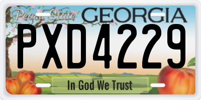GA license plate PXD4229