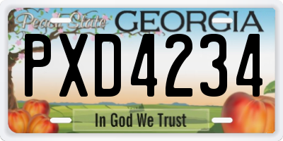 GA license plate PXD4234