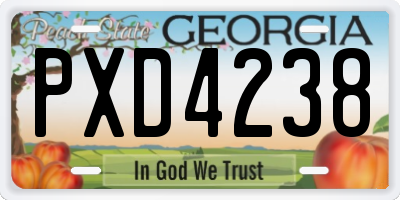 GA license plate PXD4238