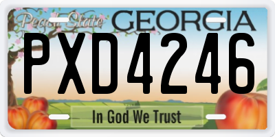 GA license plate PXD4246