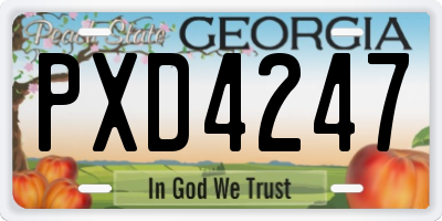GA license plate PXD4247