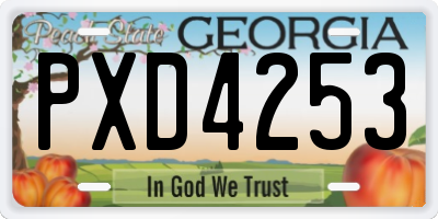 GA license plate PXD4253