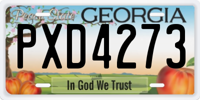 GA license plate PXD4273