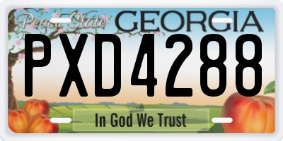 GA license plate PXD4288