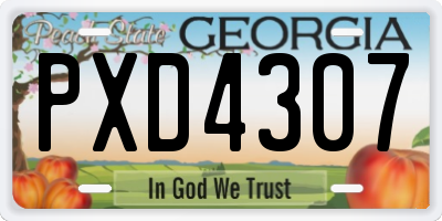 GA license plate PXD4307