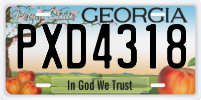 GA license plate PXD4318