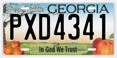 GA license plate PXD4341