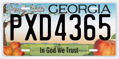GA license plate PXD4365