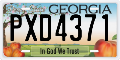 GA license plate PXD4371