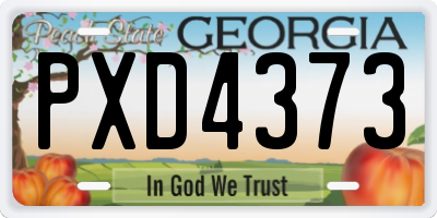 GA license plate PXD4373