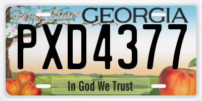 GA license plate PXD4377