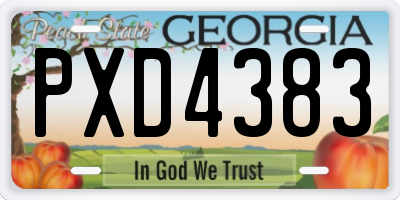 GA license plate PXD4383