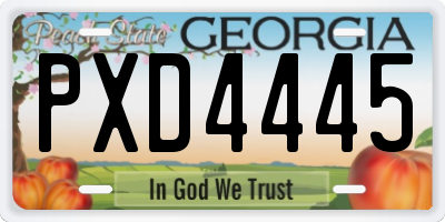 GA license plate PXD4445
