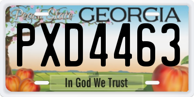 GA license plate PXD4463