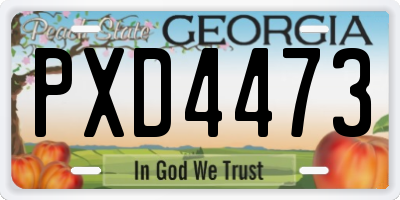 GA license plate PXD4473