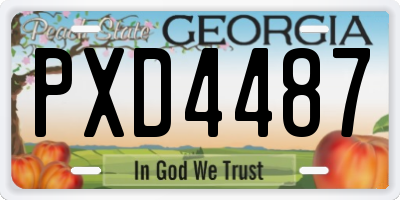 GA license plate PXD4487