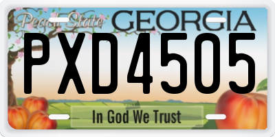 GA license plate PXD4505